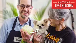 The Science of Cabbages (Brassicas), Explained With Dogs | America's Test Kitchen