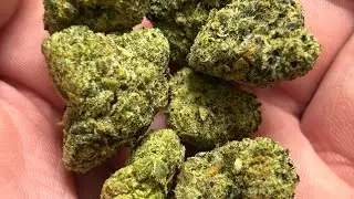 Cannabis Creation | Hytek Permanent Marker | The Fresh Canna Live Rosin | Infused Doobie