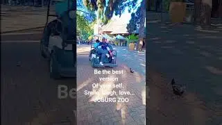 I quit my job to become a ugc creator in 2025 #shorts #ugc #ugccreator