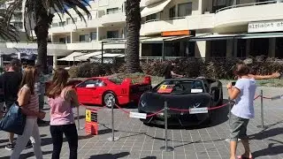 Cronulla Cars & Coffee - Ferrari Advocates
