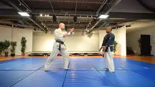 kihon kata NTJ
