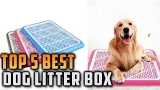 Top 5 Best Dog Litter Box on On Aliexpress On Amazon