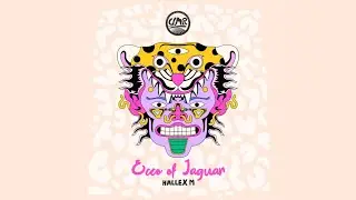 Hallex M - Ecco of Jaguar (Original Mix)