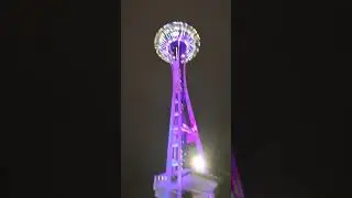 Happy New Year 2025 #profmsrao #softleadership #spaceneedle #seattle #happynewyear #happy #story