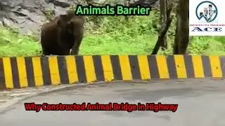 Why Constructed Animal Bridge in Highway |wildlife crossing |animal overpass