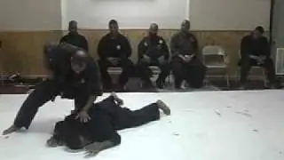 SHODAN N SANDAN TEST