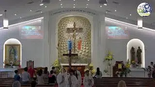 SMG Lifeteen Mass - Solemnity of The Most Holy Trinity - 06/04/2023