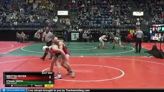 Ethan Smith vs Westyn Moyer 2019 OAC Freshman State 132lbs Finals