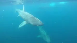 Scuba Diving Ireland Kilkee Diving