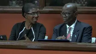 Sitting of the Senate - Pt I (February 10, 2026))