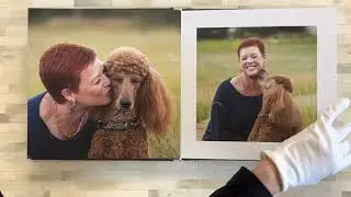 Standard Poodle Photoshoot featured in a custom photo album by Karen Hoglund Photography