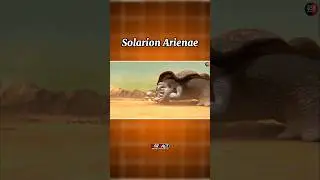5th branch of the Tree Of Life (Solarion Arienae) #facts #shorts #shortvideo #youtubeshorts
