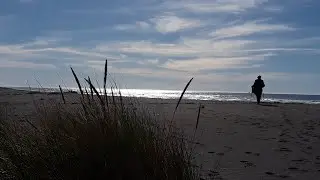Between Shadow and Light - Tribute to Daniel