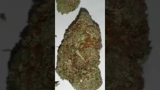 Guava dawg cannabis strain