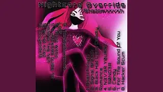 The Shadowxxvxh Logs (Data Override)
