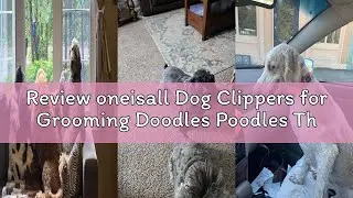 Review oneisall Dog Clippers for Grooming Doodles Poodles Thick Curly Hair,Low Noise Heavy Duty Dog