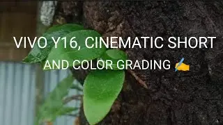 Vivo Y16 Cinematic Look🔥 Color Grading Magic!#VivoY16Cinematic #nature 🍂 no sound.