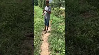 Fish drink beer never gym 😁