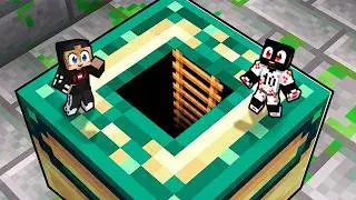 INTRU in BLOCK-URI pe Minecraft!
