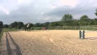 Remembrance horse, extension