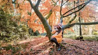 Amazing Autumn Colours in the UK || Westonbirt Arboretum