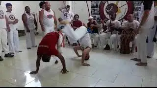 jogo cadenciado