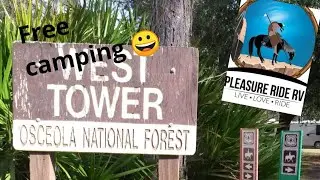 Free camping and horse corrals @ West Tower Lake City FL./Travelling full time in our RV