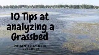 10 tips to catching grassbed bass