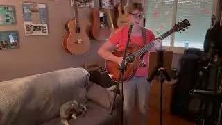 Acoustic cover of Mr Bojangles by Jerry Walker