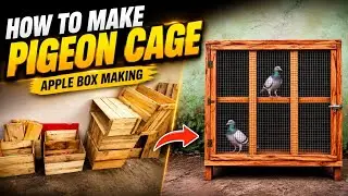 How to make pigeon cage | apple box making pigeon loft | pura koondu saivathi eppadi | low cost