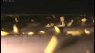 Potato Strip Sizing With a  Sliver Sizer Remover - Video One
