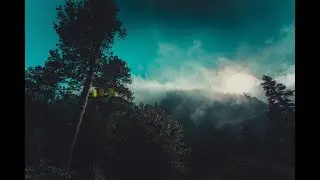 Hakaisu - i'll always find you