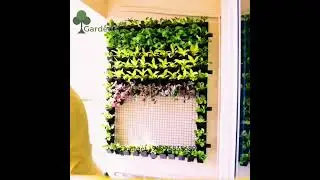 Natural Vertical Garden Installation | Natural Green Wall Design | Green Wall Ideas #viral #delhincr