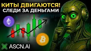 Топ альткоины на CEX: Следим за китами через ASCN AI