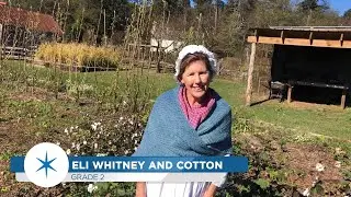 2nd Grade - Eli Whitney and Cotton