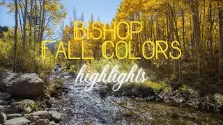 CALIFORNIA FALL LEAVES in Bishop, CA - Family adventure checking out Bishop fall leaves with kids