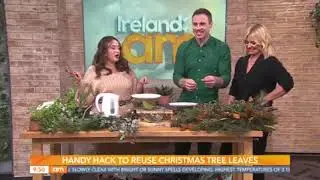 Create your own Steam Bowls using foraged plants with Feebee | Ireland AM 8th Jan '24