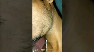 #beardgrowth from safe minoxidil #wantbeard #shorts