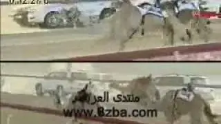 اعمار تنتزع سيف الوثبة2010  وتحطم التيم