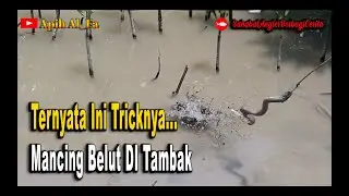 SABC#22 Apih ALFa Fishing -