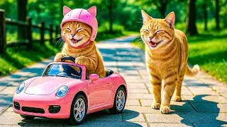 Mama Cat Works Hard at a Burger Shop to Buy Her Kitten a Beautiful Pink Toy Car 🍔🐱🚗