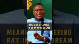 Meaning of Seeing Rat in Your Dream #dream #dreaminterpretation