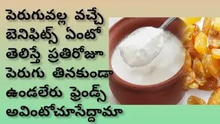 #curd #curdrecipe #curdlassi #పెరుగుతో వచ్చే బెనిఫిట్స్ తెలిస్తే ప్రతిరోజూ పెరుగు తినకుండా ఉండలేరు