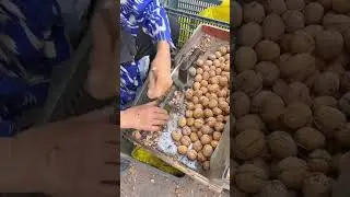walnuts cracking machine