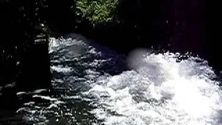 IMGP7657.MOV