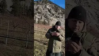 DESERDERADA 1927 СТИХОТВОРЕНИЕ МАКСА ЭРМАНА #poetryintheorchard