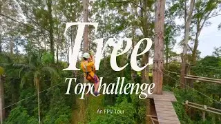 TreeTop Challenge - Sunshine Coast - Queensland Must Do Activity
