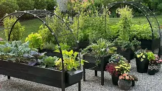 A Sunny Tour of our Raised Garden Beds and Some 2024 Annuals  ||  Grow For Me 5b