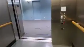 Herk traction elevator at the American Museum of Natural History (Manhattan, NY)