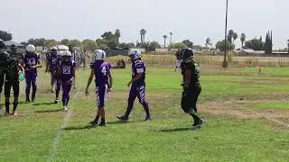 LYF TIGERS